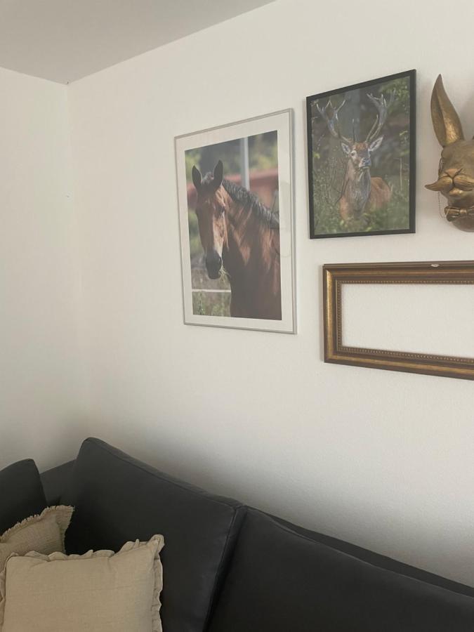 Appartement Luises Ferienglueck à Vernawahlshausen Extérieur photo